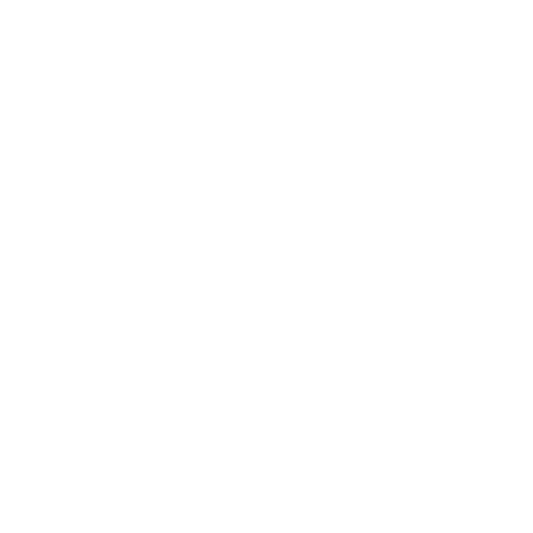 Swansea City