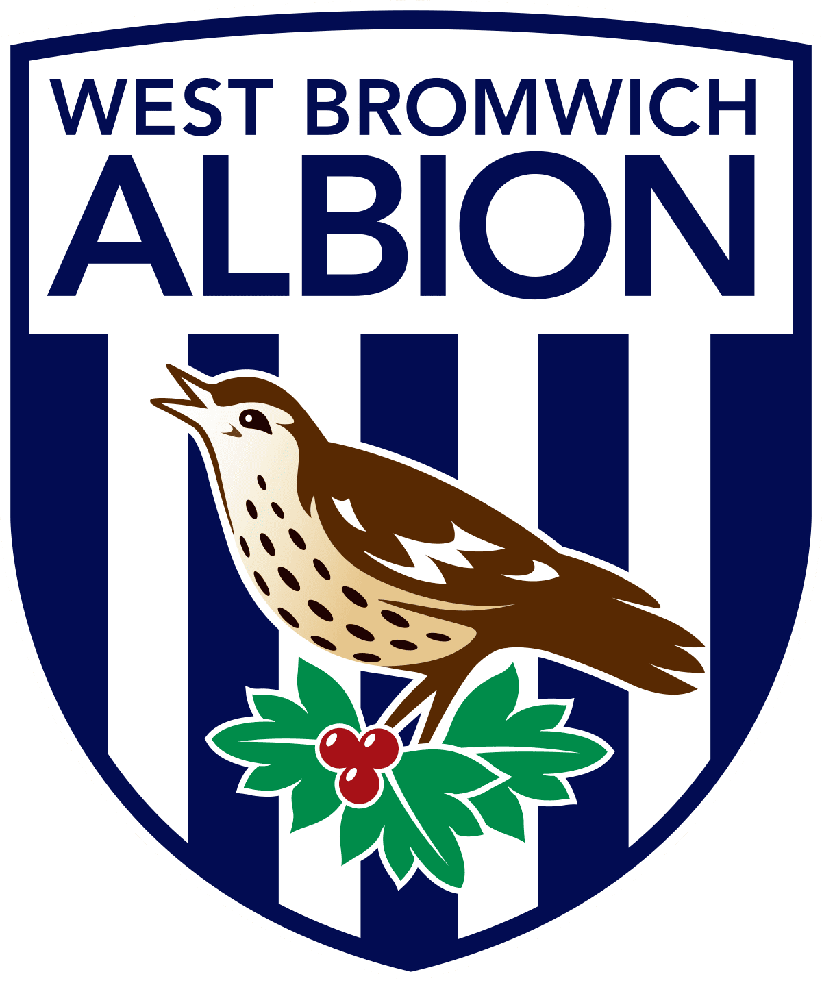 West Bromwich Albion